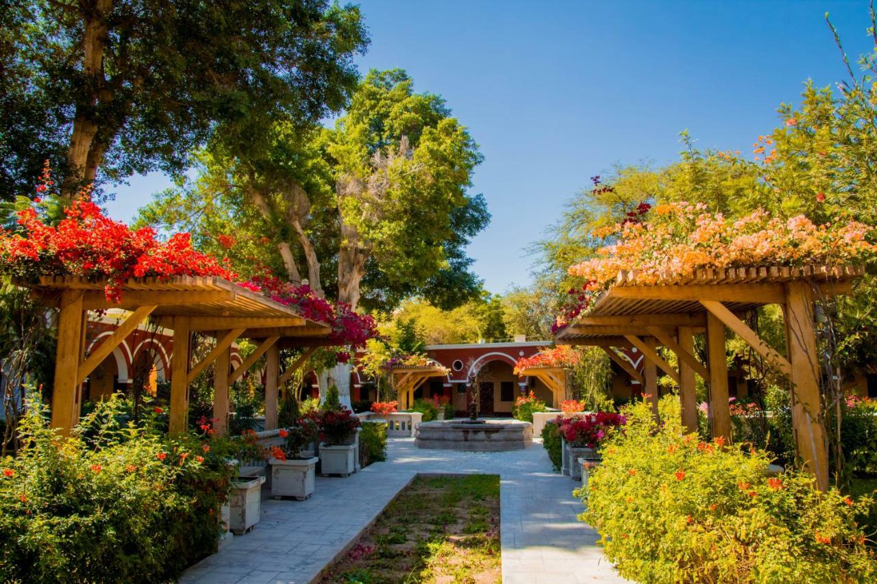 Dm Hoteles Mossone - イカ エクステリア 写真